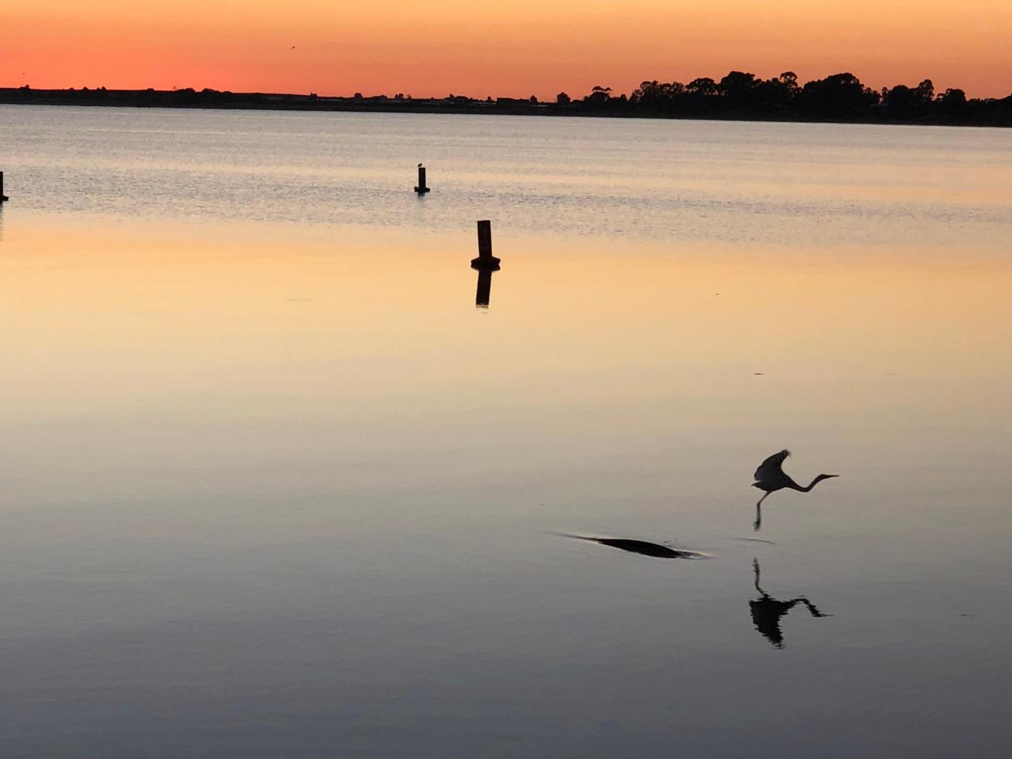 Lake Boga Caravan Park Екстериор снимка
